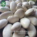 New Crop Price of Large White Kidney Bean                        
                                                Quality Choice